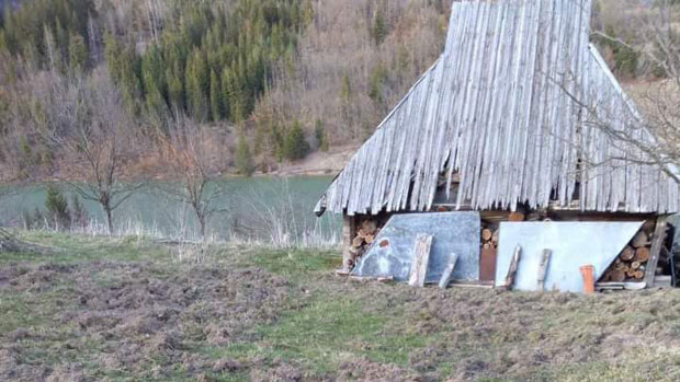 Свиње орале по малињацима